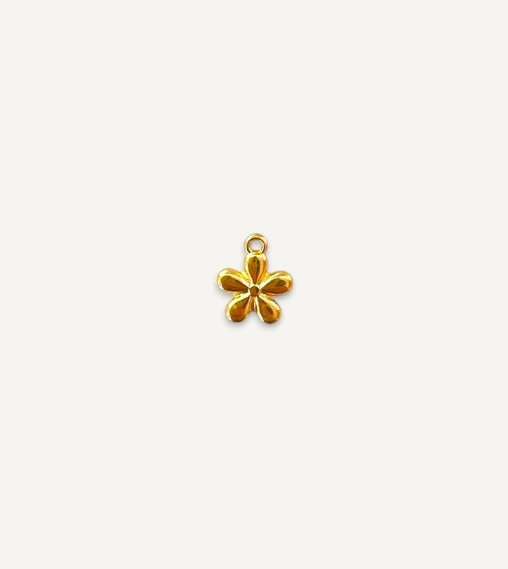 Charm n°17