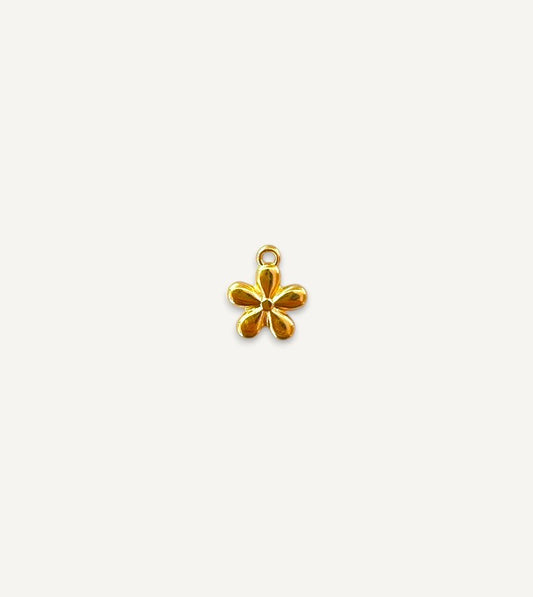 Charm n°17